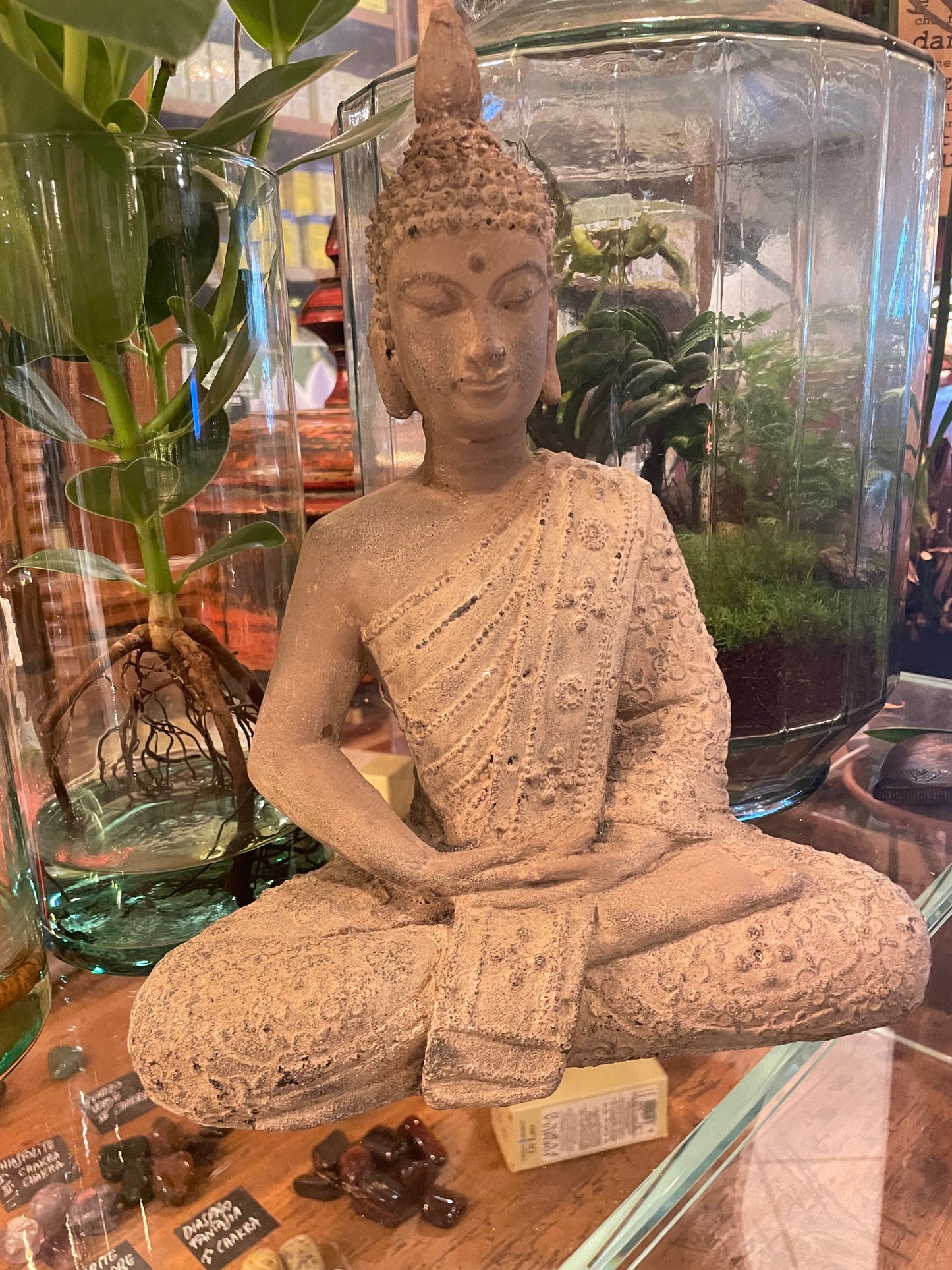 BUDDHA MEDIUM