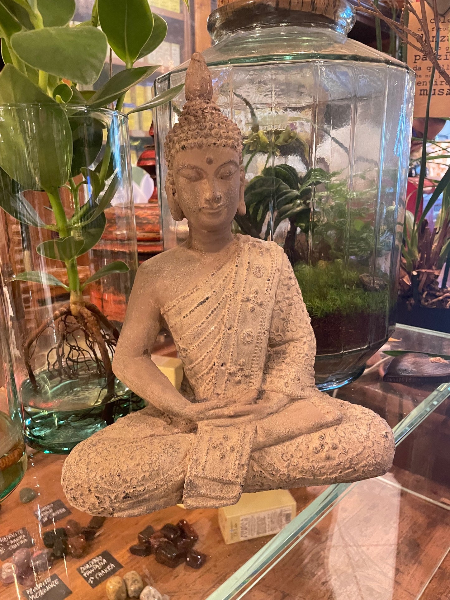 BUDDHA MEDIUM