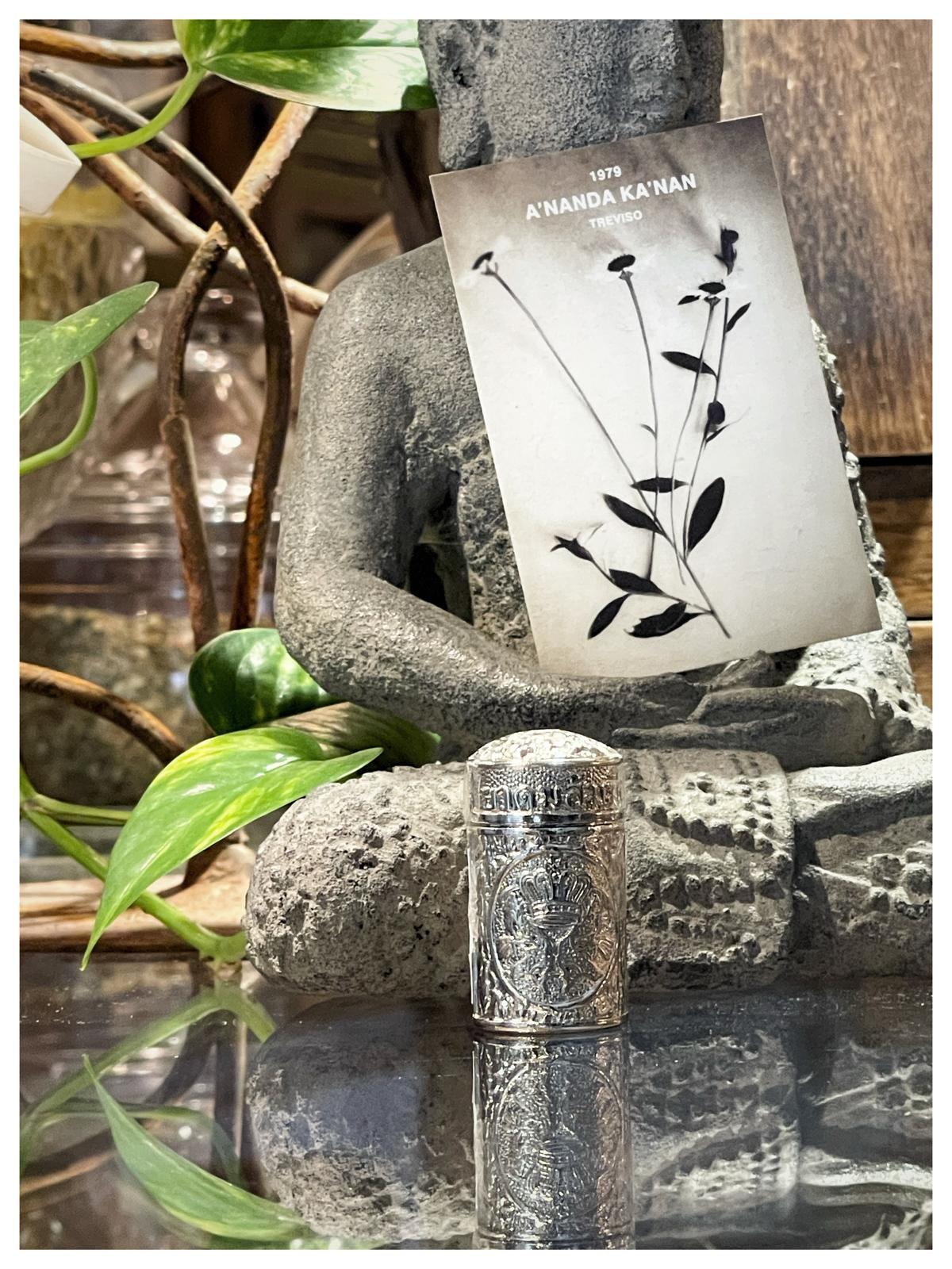 INALATORE ERBE BALSAMICO AYURVEDA